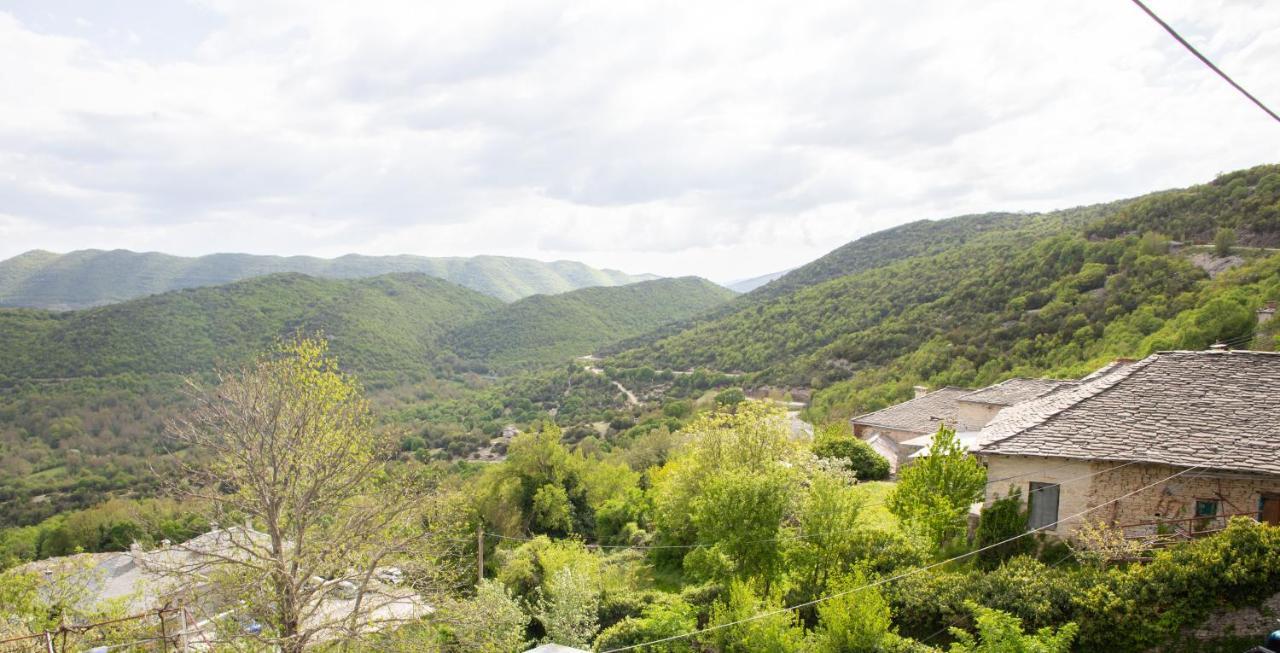 Zelinia Hotel Vitsa Bagian luar foto